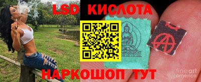 стафф Будённовск