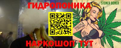стафф Будённовск